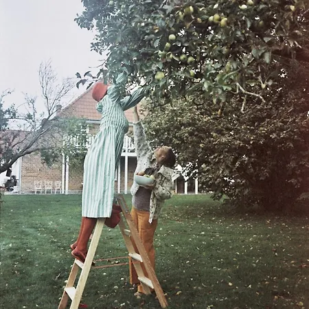 Appartement Panorama-loft Mit Meerblick